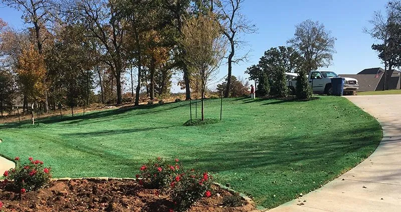 Custom yard cleanup service in Oklahoma City, OK - Willis Lawn Services