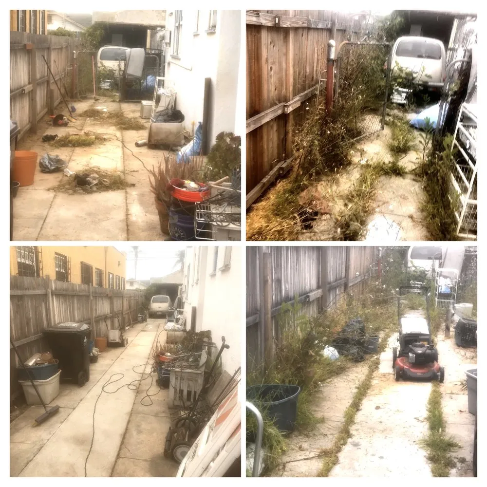 Local landscaping services experts serving Compton, CA - Willisons landscape