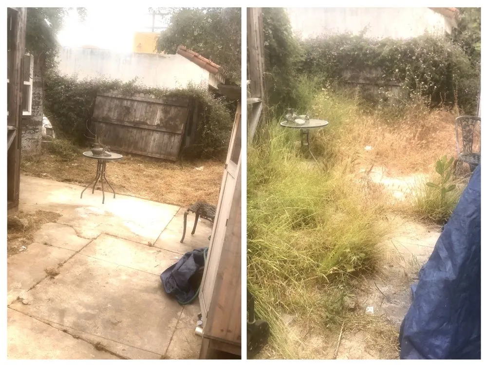 Professional outdoor landscaping for residential properties in Compton, CA by Willisons landscape