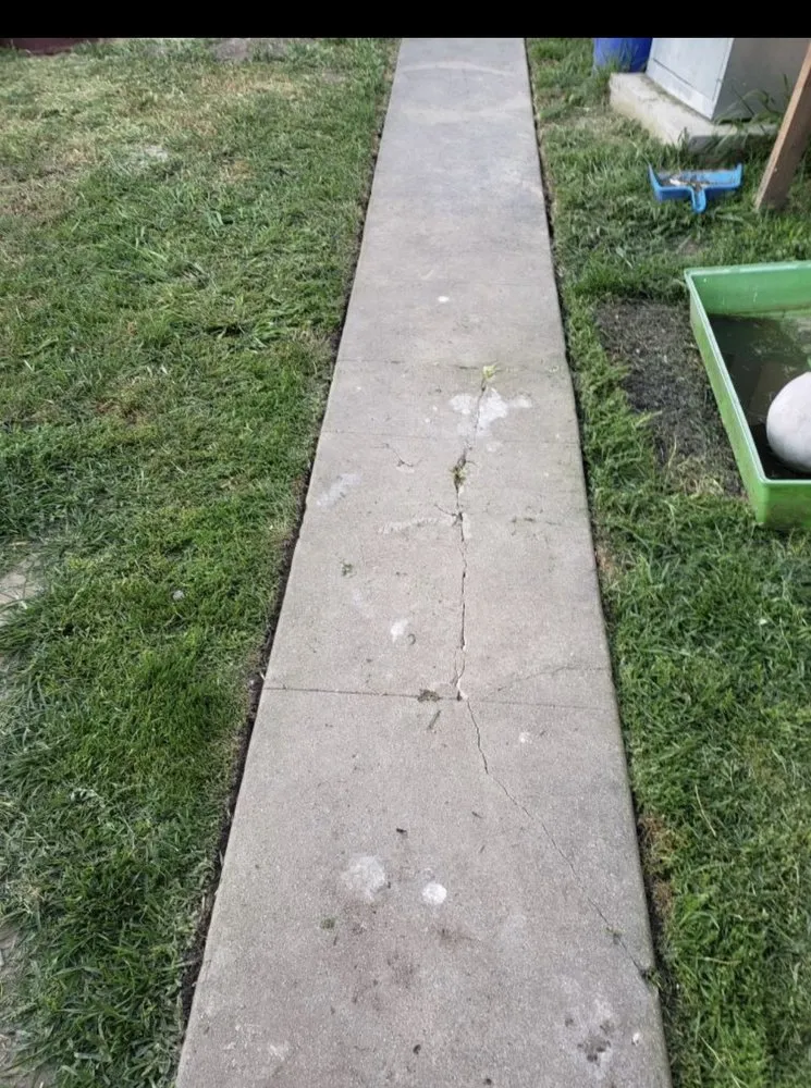 Expert yard cleanup service in Compton, CA - Willisons landscape