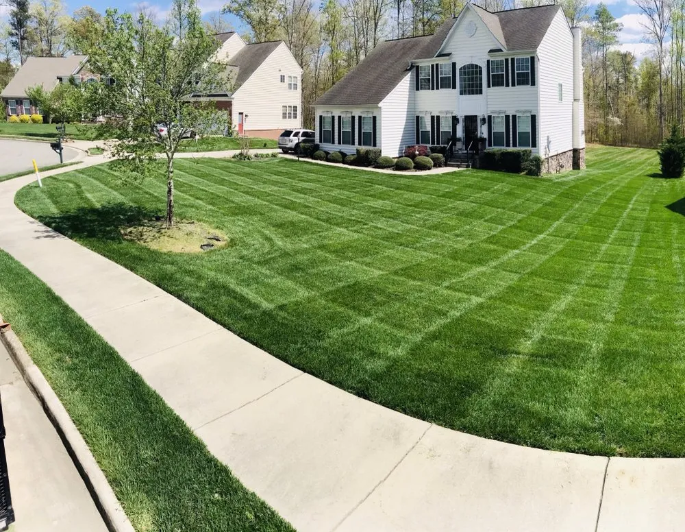 Trusted yard cleanup service for outdoor upgrades across Moseley, VA - Willmarth Property Services