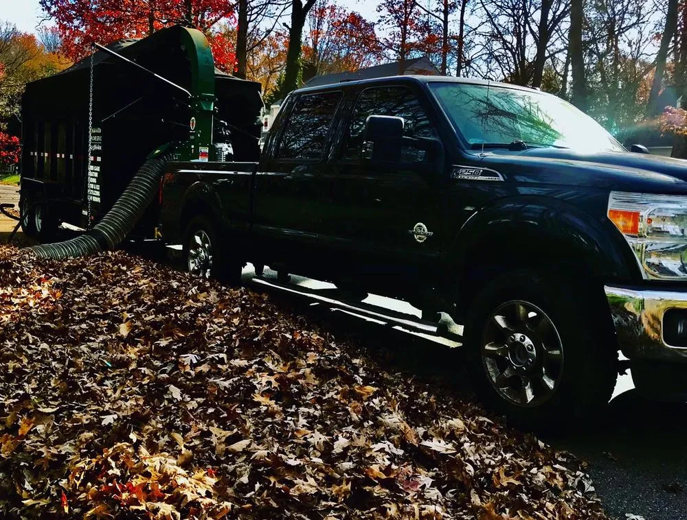 Custom yard cleanup service in Moseley, VA by Willmarth Property Services