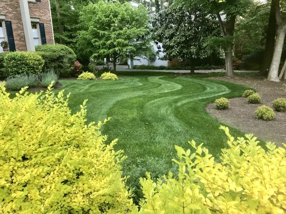 Trusted yard maintenance for homes in Moseley, VA by Willmarth Property Services
