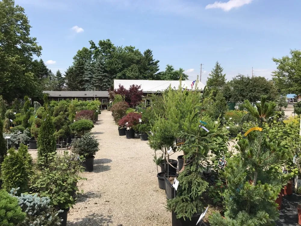 Professional garden landscaping in Wooster, OH by Willo'dell Nursery