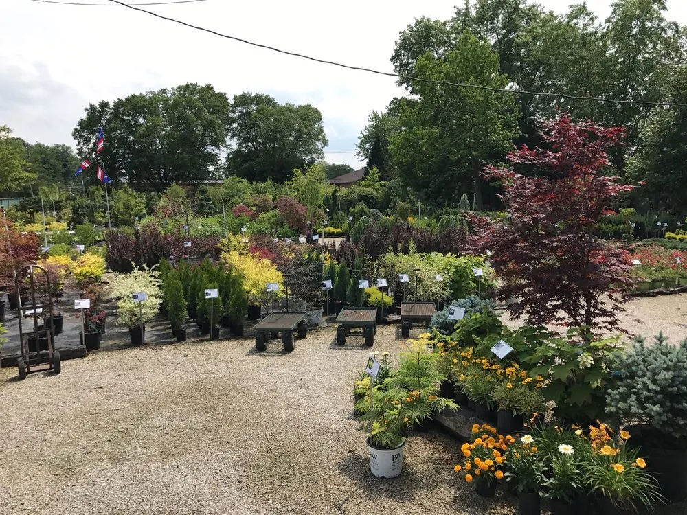 Affordable yard maintenance experts serving Wooster, OH - Willo'dell Nursery