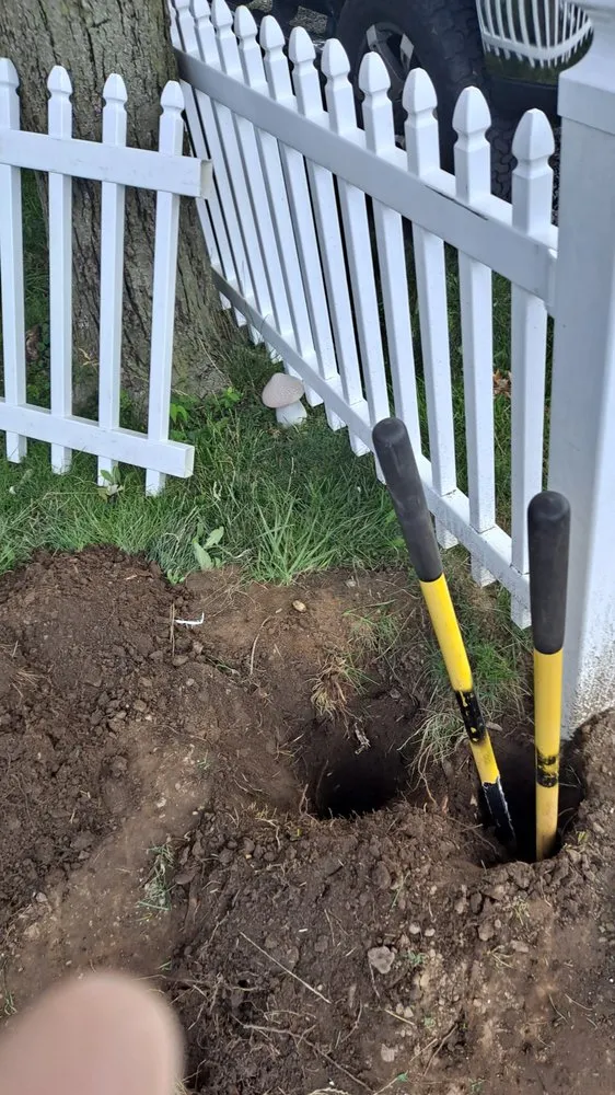 Expert yard maintenance in Indianapolis, IN - Willoughby Home Repair and Maintenance