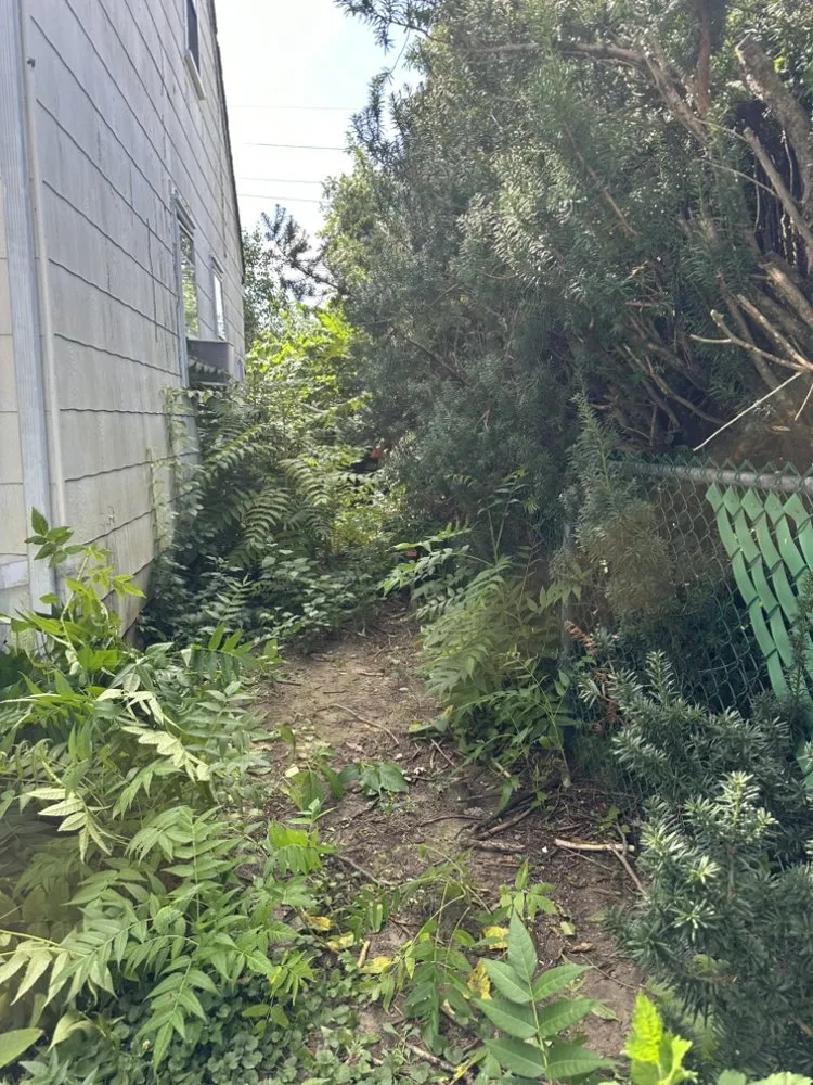 Professional outdoor landscaping in Philadelphia, PA by Willow & Stone