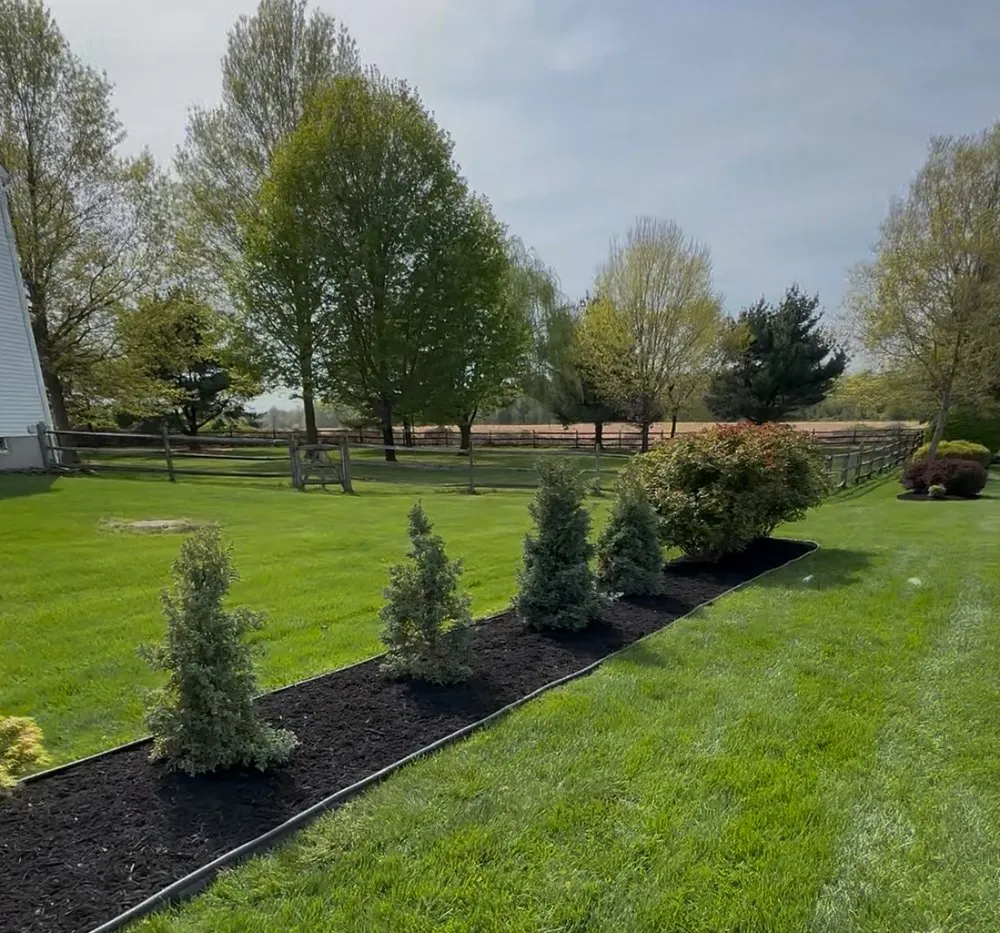 Top-rated landscape design experts serving Philadelphia, PA - Willow & Stone