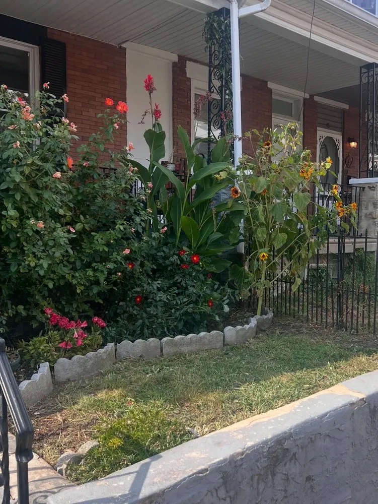 Professional landscape installation for outdoor upgrades across Philadelphia, PA - Willow & Stone