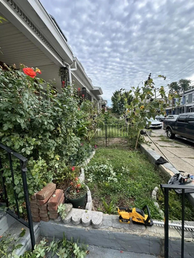 Affordable landscape installation for outdoor upgrades in Philadelphia, PA by Willow & Stone