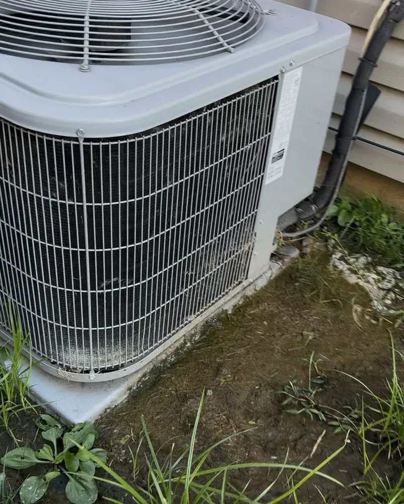 Expert yard maintenance in Philadelphia, PA by Willow & Stone