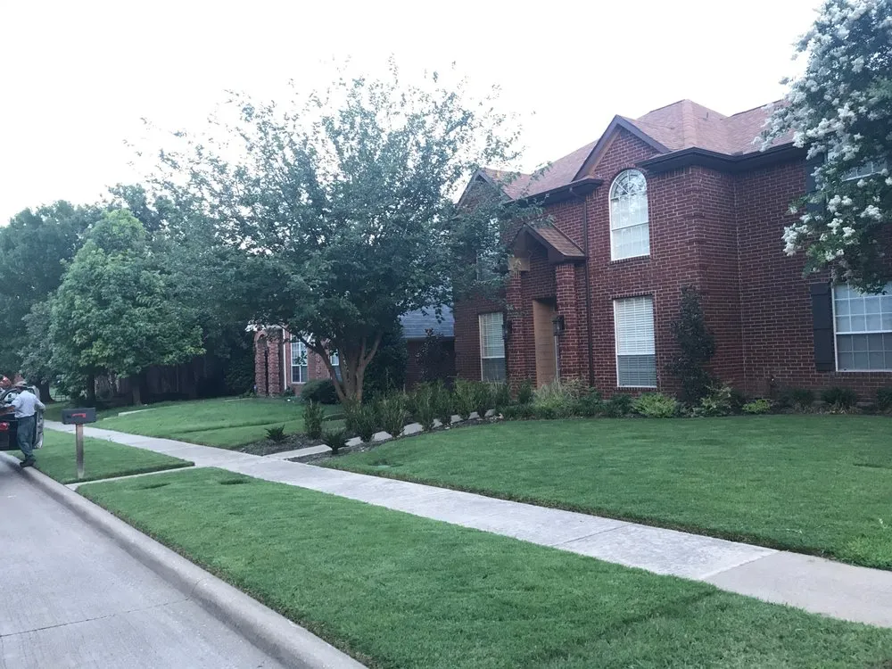 Custom lawn care service for outdoor upgrades across Plano, TX - Willow Bend Landscaping