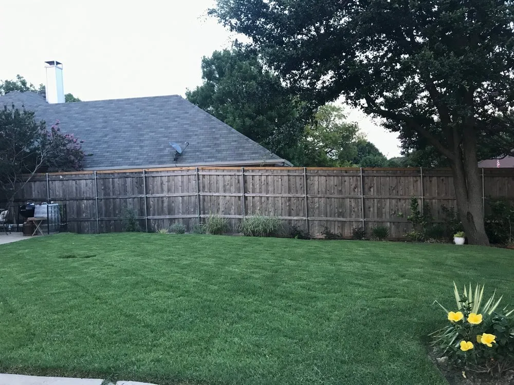 Professional garden landscaping for outdoor upgrades across Plano, TX - Willow Bend Landscaping
