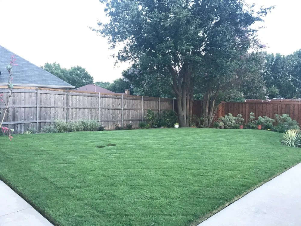 Custom yard cleanup service near you across Plano, TX - Willow Bend Landscaping
