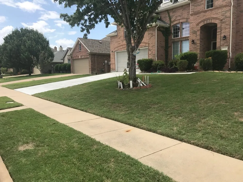 Trusted outdoor landscaping in Plano, TX by Willow Bend Landscaping