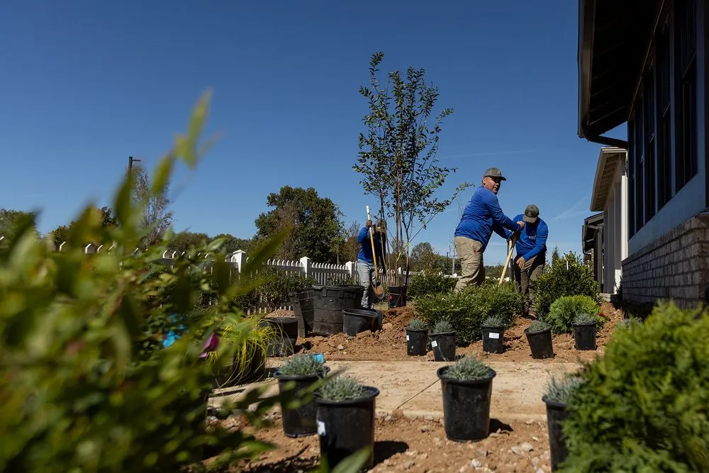 Reliable lawn care service in Brentwood, TN - Willow Branch Landscapes