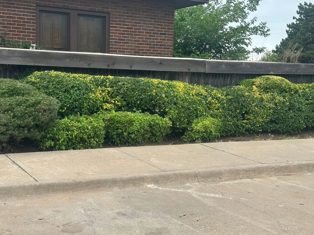 Trusted landscape installation experts serving Woodward, OK - Willow B's Lawn and Treez