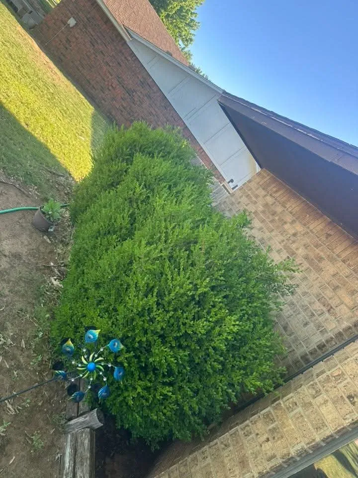 Professional landscaping services in Woodward, OK - Willow B's Lawn and Treez