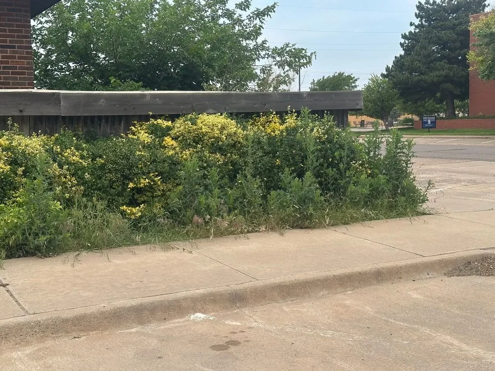 Custom yard cleanup service for homes in Woodward, OK by Willow B's Lawn and Treez