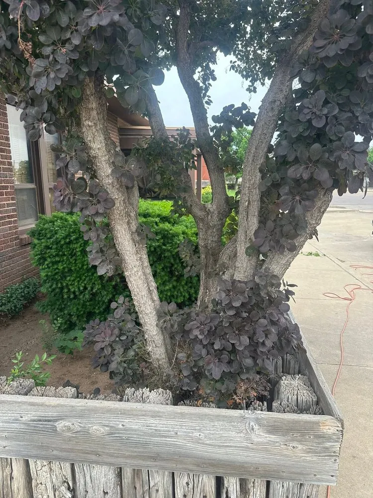 Affordable residential landscaping in Woodward, OK - Willow B's Lawn and Treez