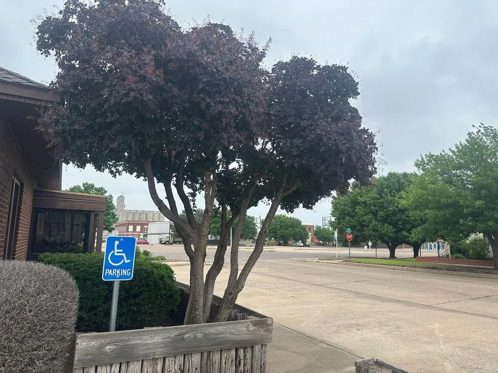 Custom residential landscaping for beautiful yards across Woodward, OK - Willow B's Lawn and Treez