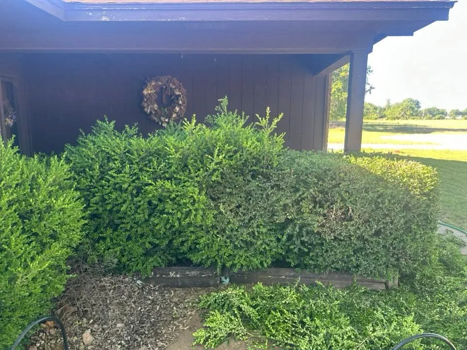 Expert landscaping services in Woodward, OK - Willow B's Lawn and Treez