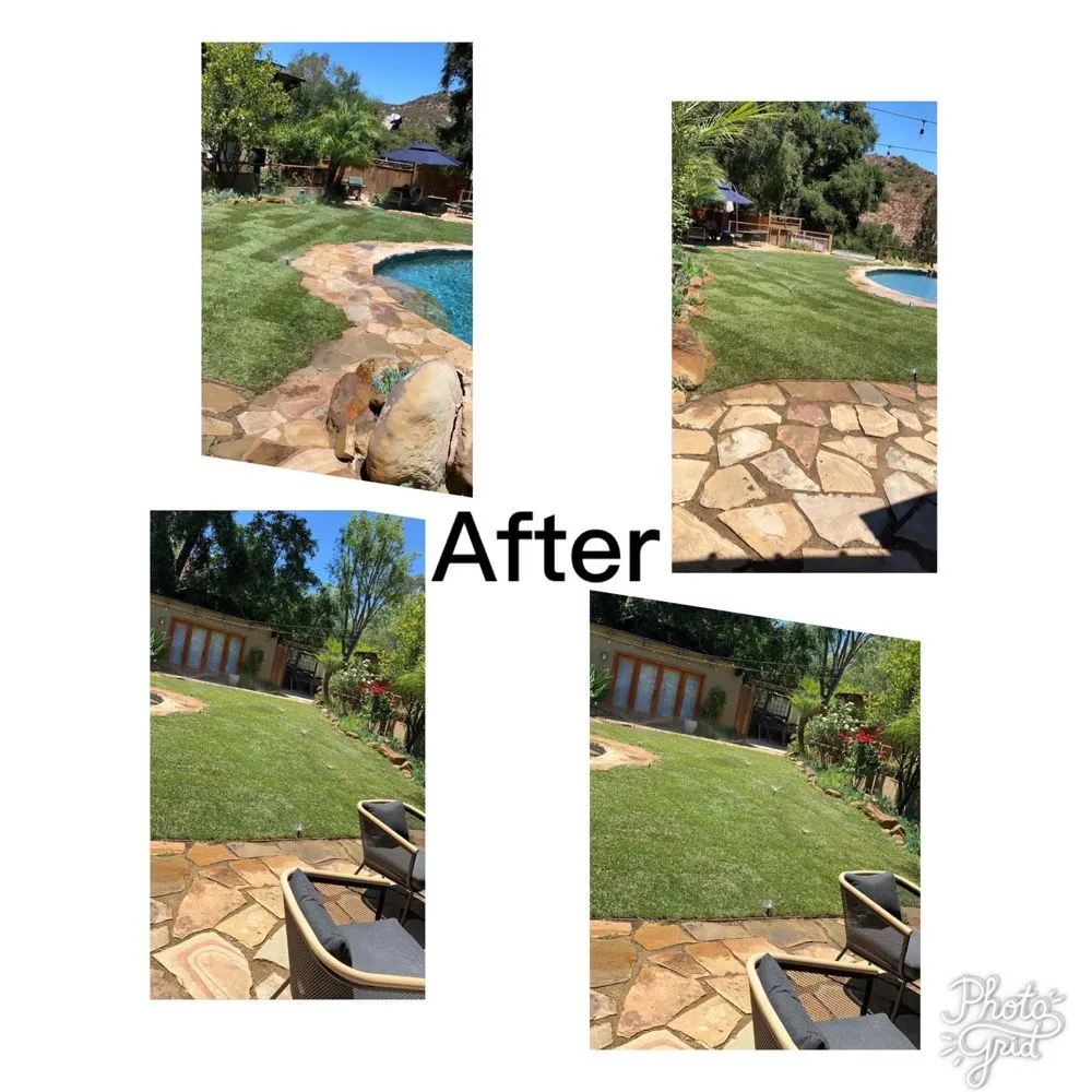 Top-rated yard maintenance experts serving Reseda, CA - Willow Creek Landscape & Gardening