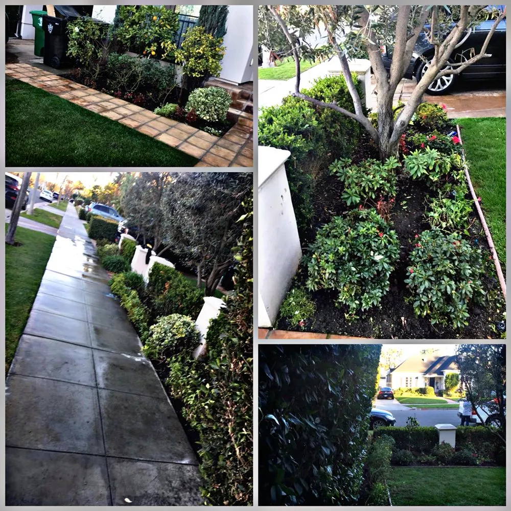 Trusted lawn mowing service in Reseda, CA - Willow Creek Landscape & Gardening