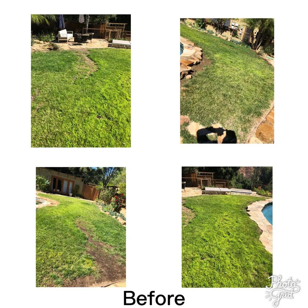 Affordable outdoor landscaping for year-round maintenance across Reseda, CA - Willow Creek Landscape & Gardening