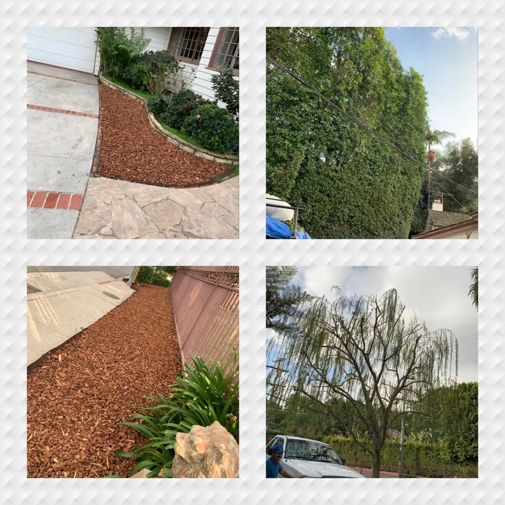 Local landscaping services in Reseda, CA - Willow Creek Landscape & Gardening