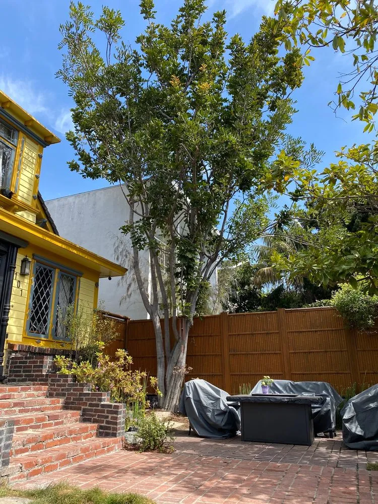 Expert outdoor landscaping near you across Reseda, CA - Willow Creek Landscape & Gardening