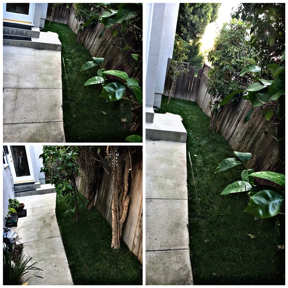 Reliable outdoor landscaping in Reseda, CA - Willow Creek Landscape & Gardening