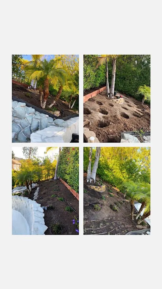 Trusted lawn mowing service in Reseda, CA - Willow Creek Landscape & Gardening