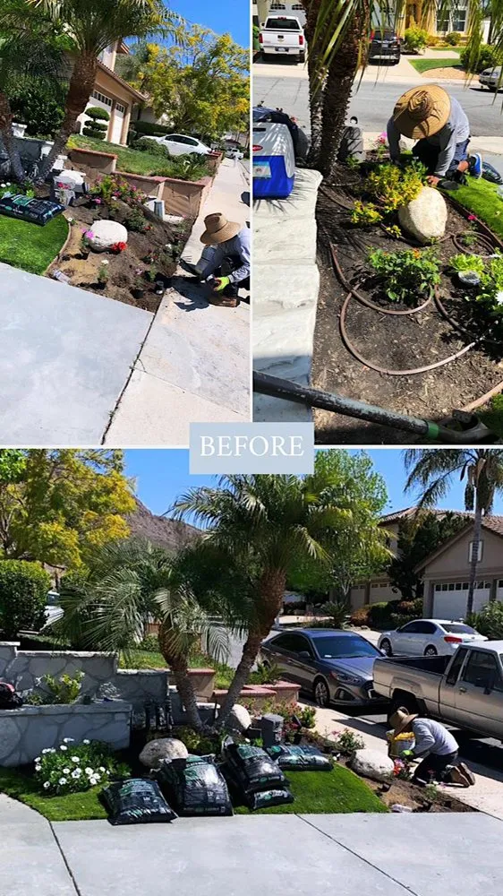 Professional landscaping services experts serving Reseda, CA - Willow Creek Landscape & Gardening