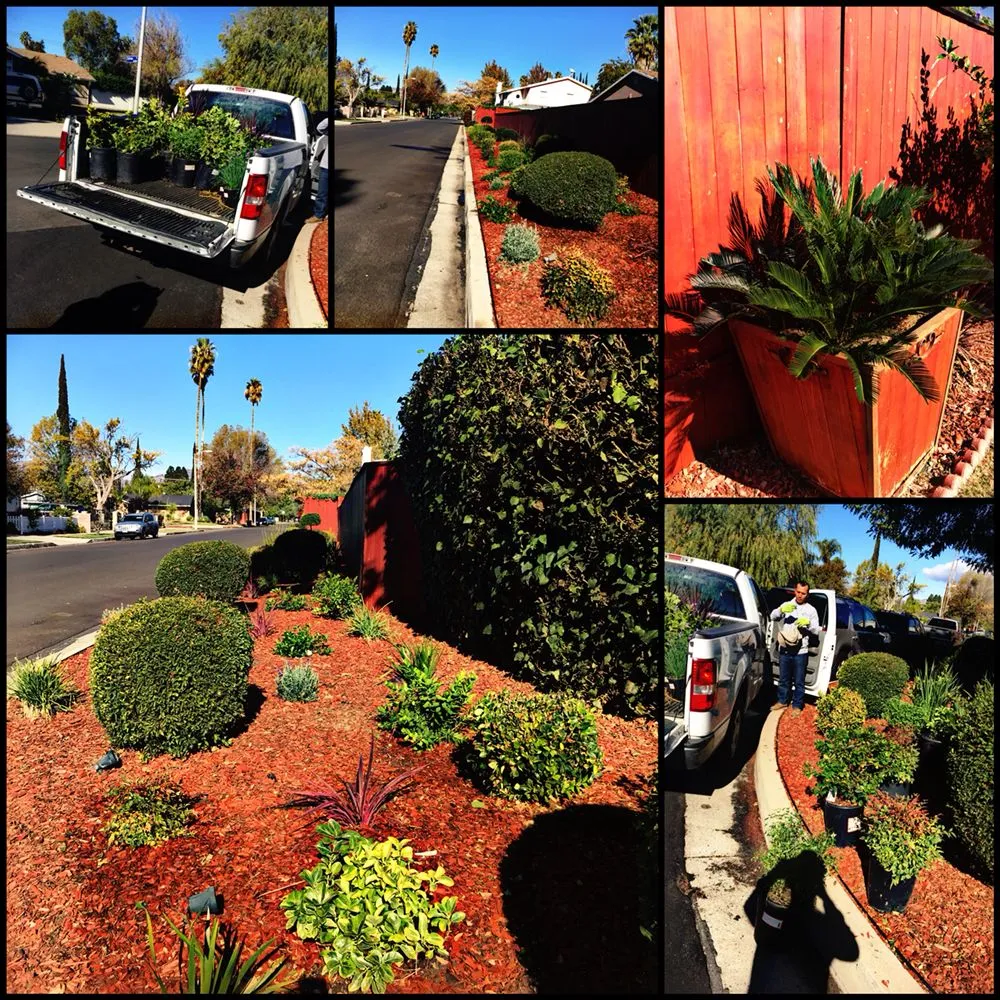 Affordable lawn care service for year-round maintenance in Reseda, CA by Willow Creek Landscape & Gardening