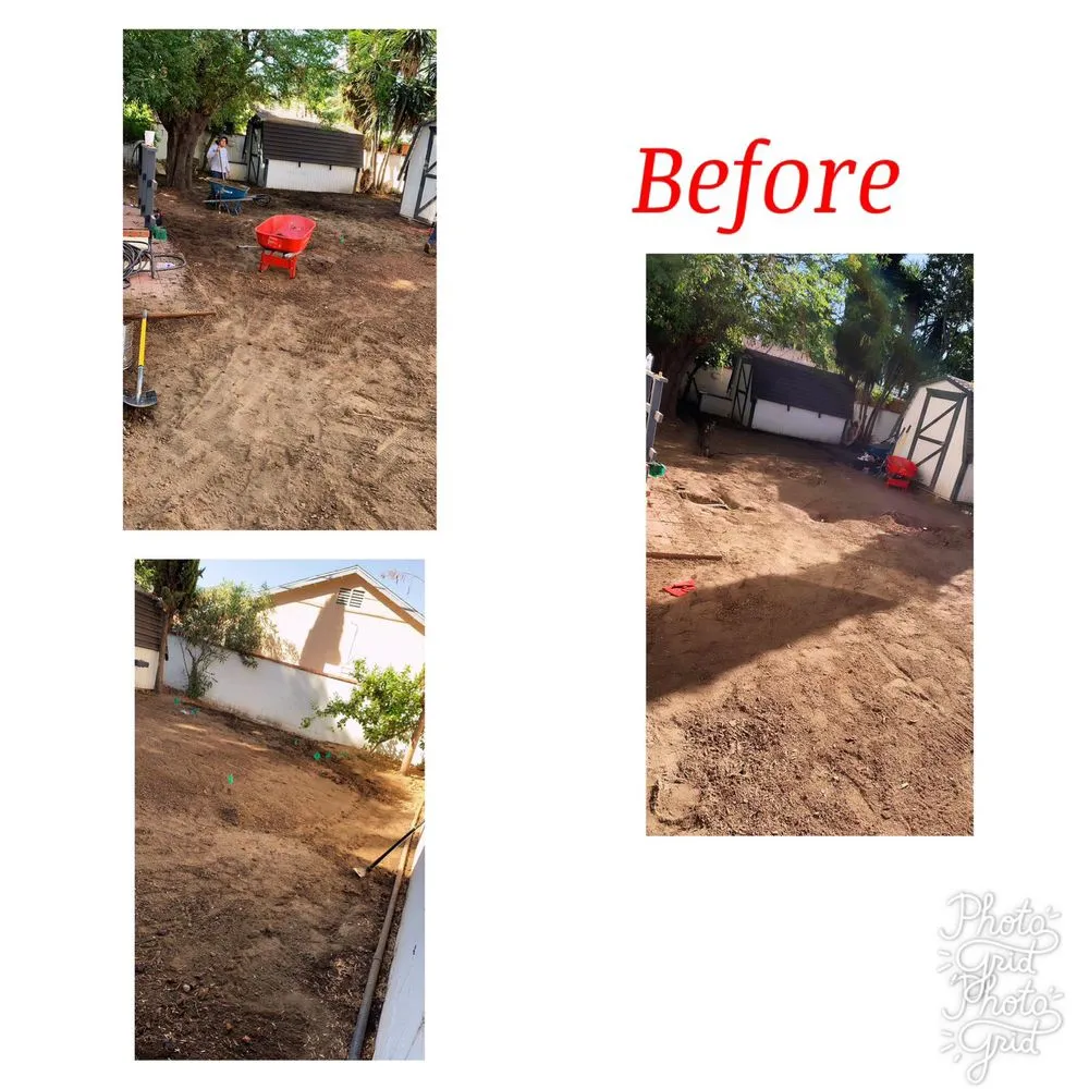 Top-rated landscape design experts serving Reseda, CA - Willow Creek Landscape & Gardening