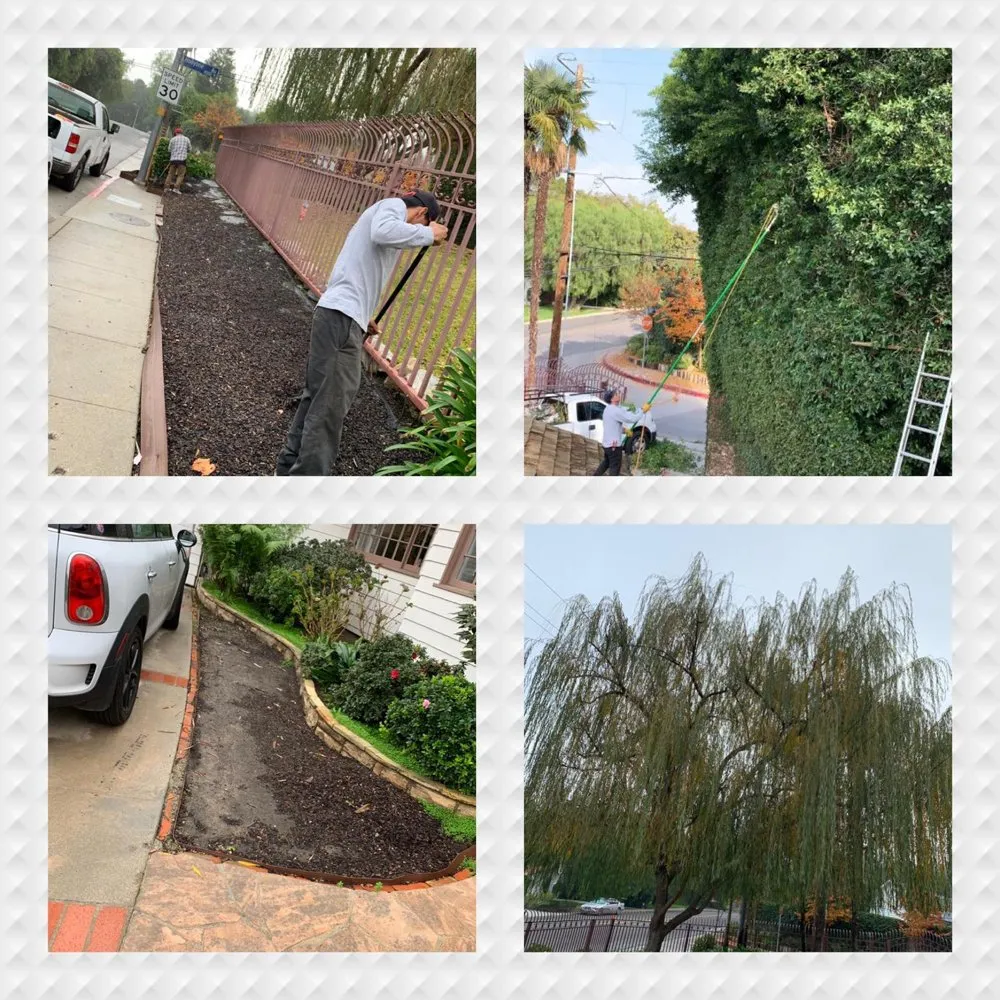 Professional lawn mowing service experts serving Reseda, CA - Willow Creek Landscape & Gardening