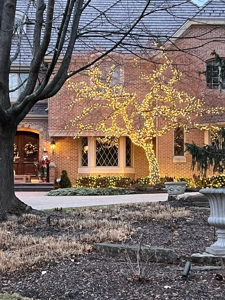 Reliable landscaping services in Harvard, IL by Willow Creek Landscape