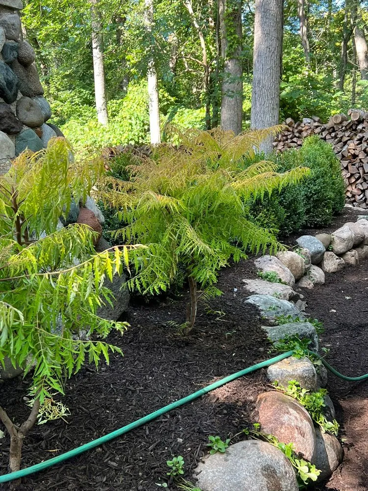 Trusted lawn care service for year-round maintenance in Harvard, IL by Willow Creek Landscape