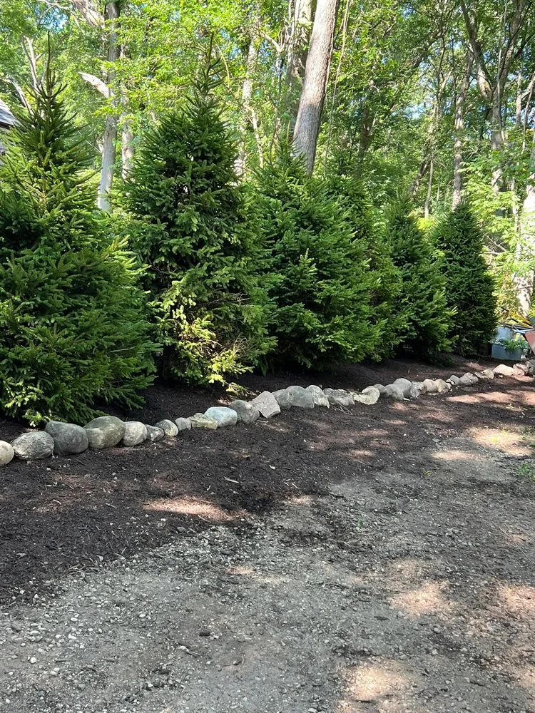 Top-rated lawn care service experts serving Harvard, IL - Willow Creek Landscape