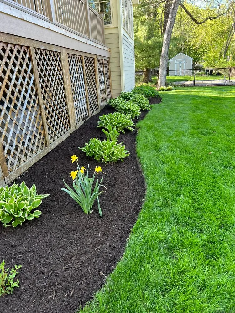 Expert yard cleanup service in Harvard, IL by Willow Creek Landscape