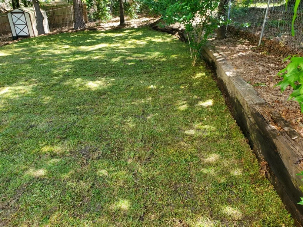 Top-rated landscape design experts serving Harlem, GA - Willow Creek Outdoor Management