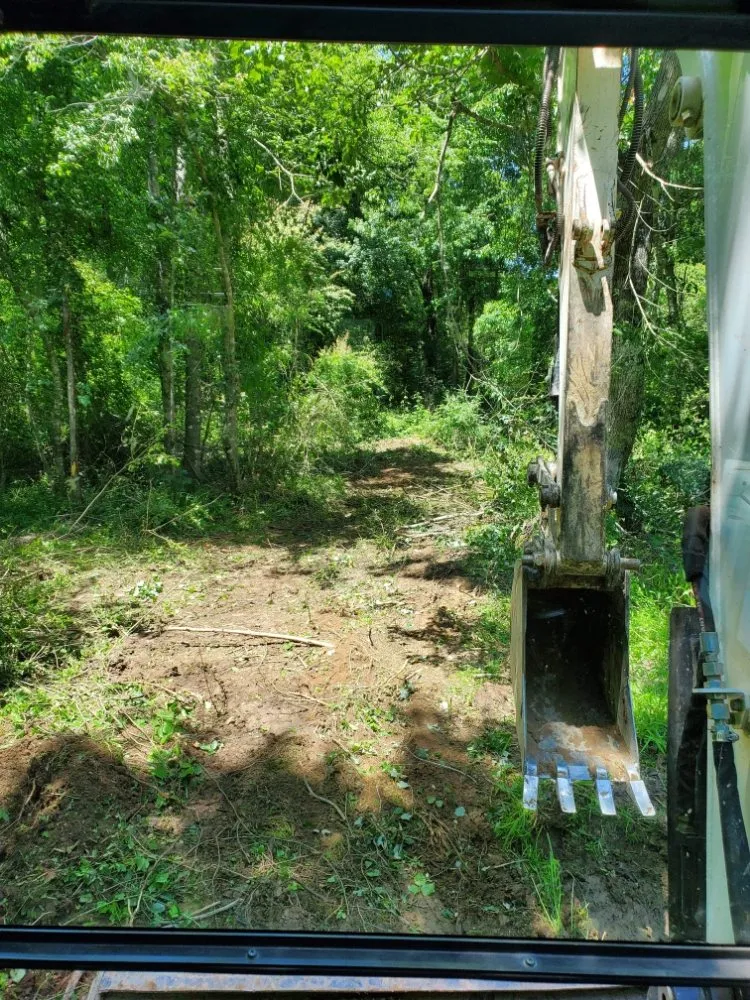 Professional landscaping services experts serving Harlem, GA - Willow Creek Outdoor Management