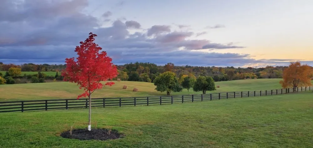 Custom yard maintenance for homes in Simpsonville, KY by Willow Farms Lawn & Landscape