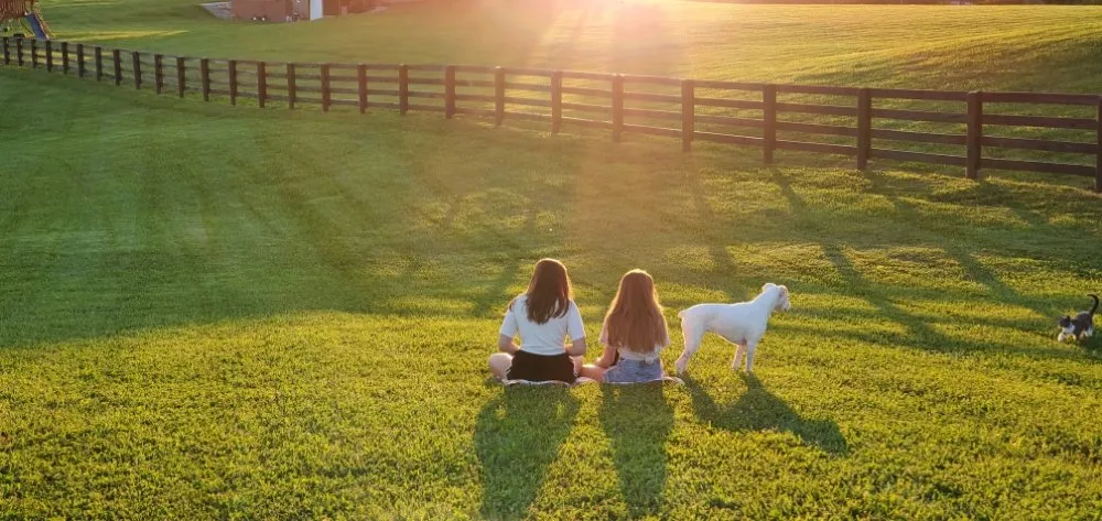 Affordable yard cleanup service experts serving Simpsonville, KY - Willow Farms Lawn & Landscape