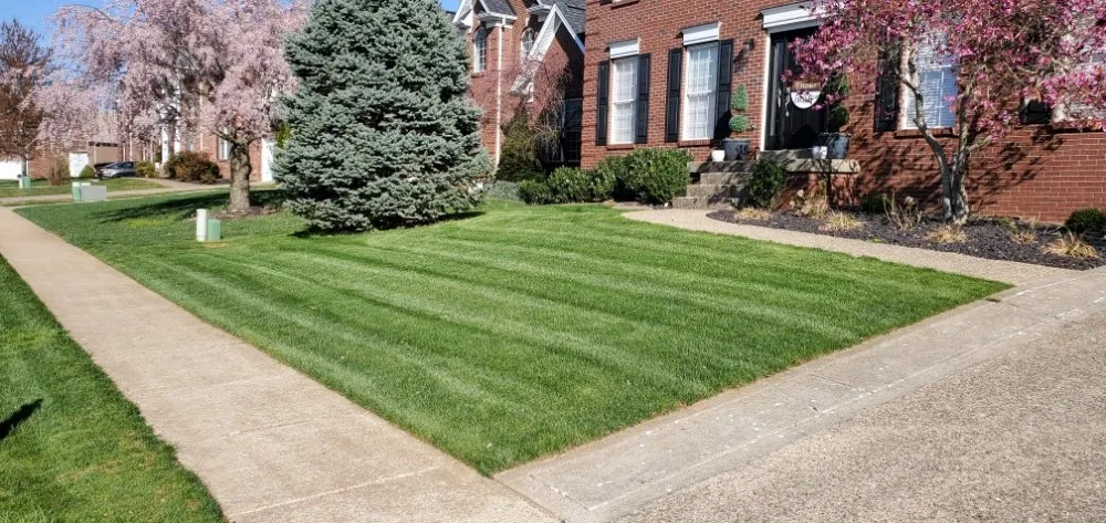 Trusted yard maintenance experts serving Simpsonville, KY - Willow Farms Lawn & Landscape