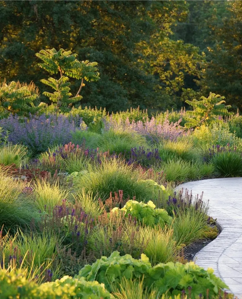 Professional residential landscaping in San Jose, CA - Willow Glen Gardening
