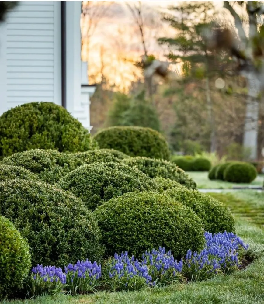 Top-rated landscape design in San Jose, CA - Willow Glen Gardening