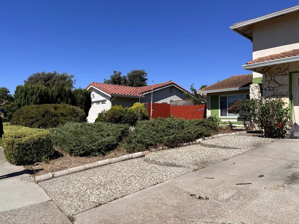 Expert landscape design in San Jose, CA - Willow Glen Gardening