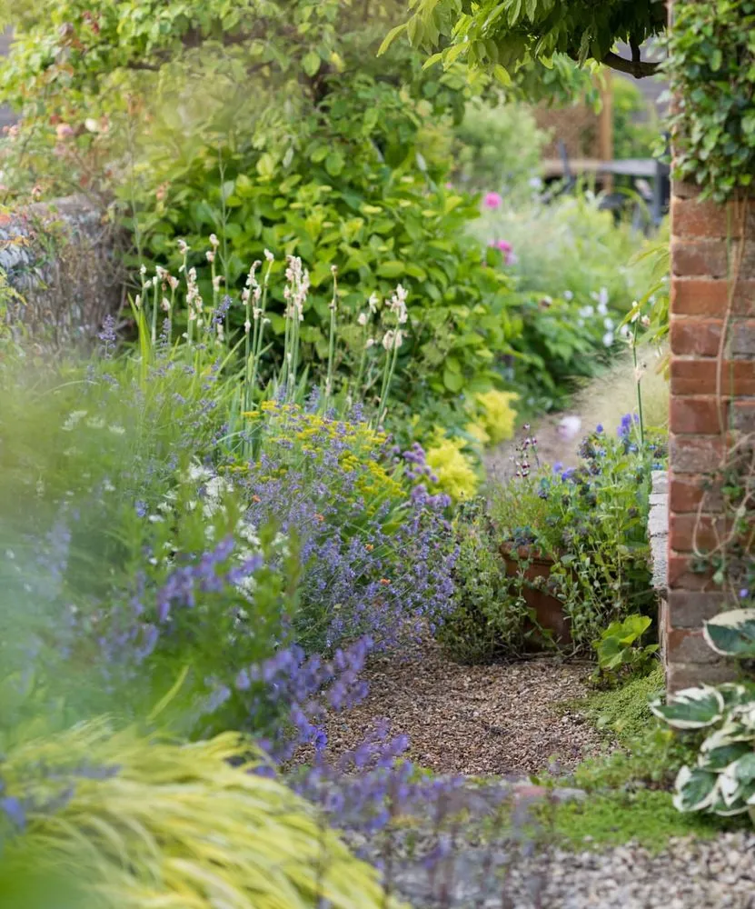 Top-rated garden landscaping for homes in San Jose, CA by Willow Glen Gardening